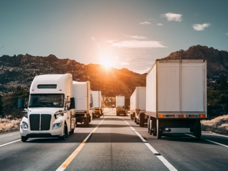 Consultoria para empresas de logística